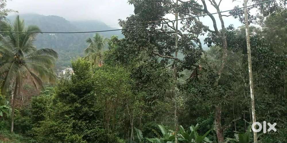 1 Acres of Land in Munnar.