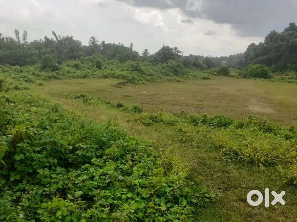 2 acres Parambu for sale