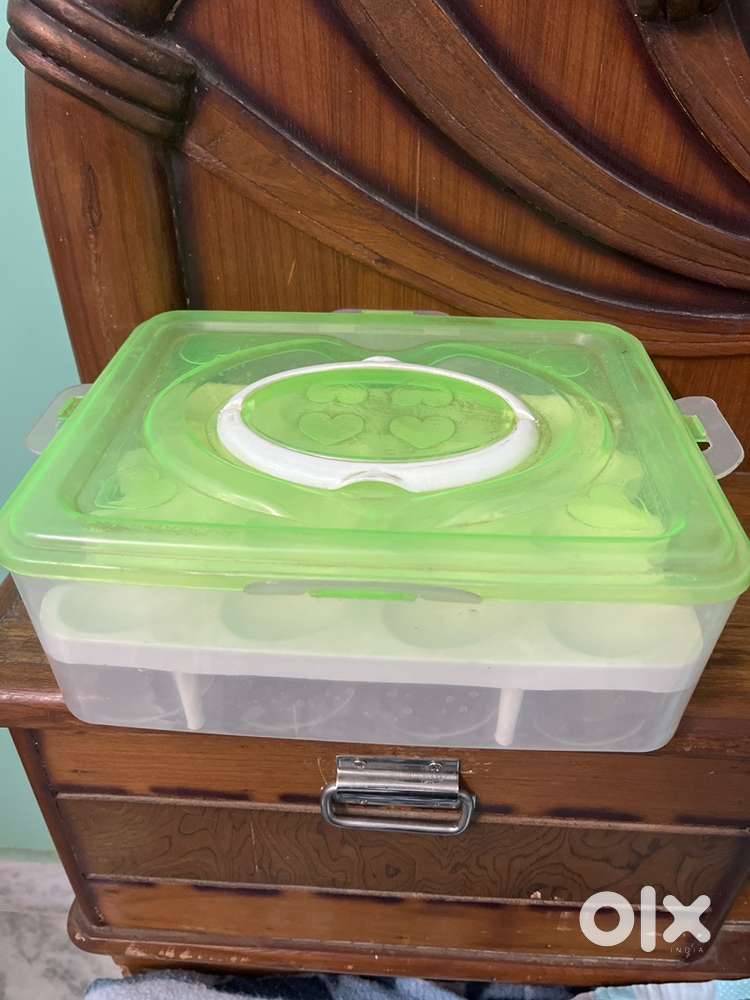 Egg Container Box unused
