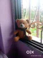 Teddy bear