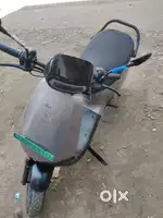 Ola for sale