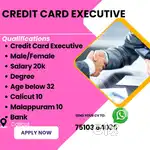 Hiring  Credit card executive