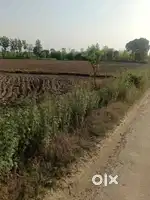 Industrial jamin 100 biga delhi sharanpur higway main to back  kandhla
