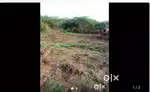 Location:Thittai road