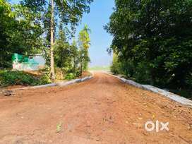 6CENT HOUSEPLOT (LAND) FOR SALE AT KAKKANAD, THENGODE MANAKAKKADAVU.