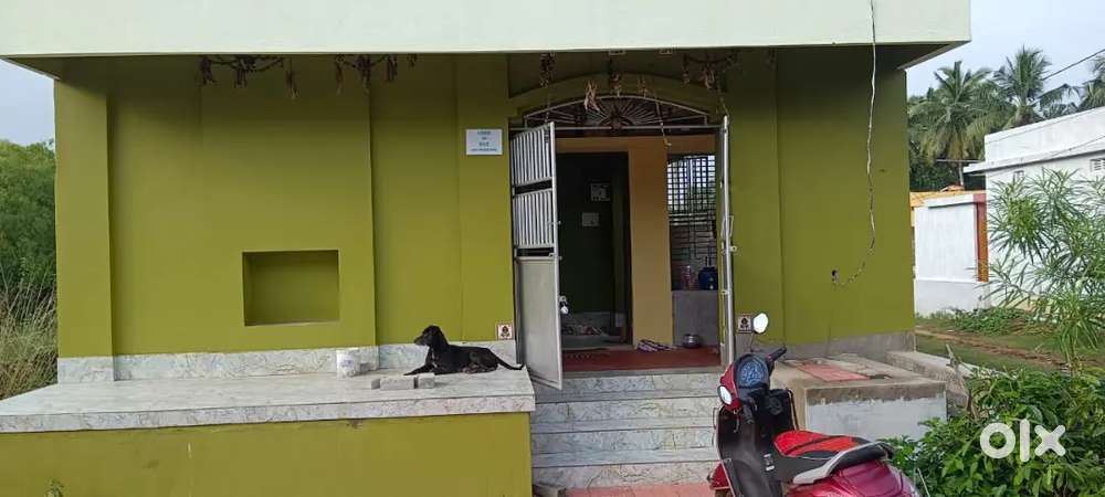 House For Rent ଘରଭଡ଼ା (ବିରବଳଭଦ୍ରପୁର) ଚନ୍ଦନପୁର