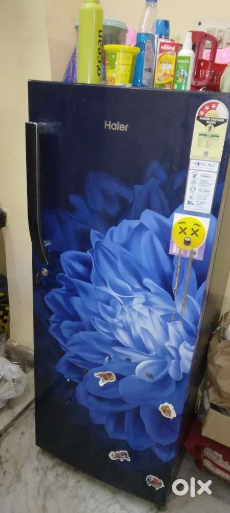 Cooler and Fridge