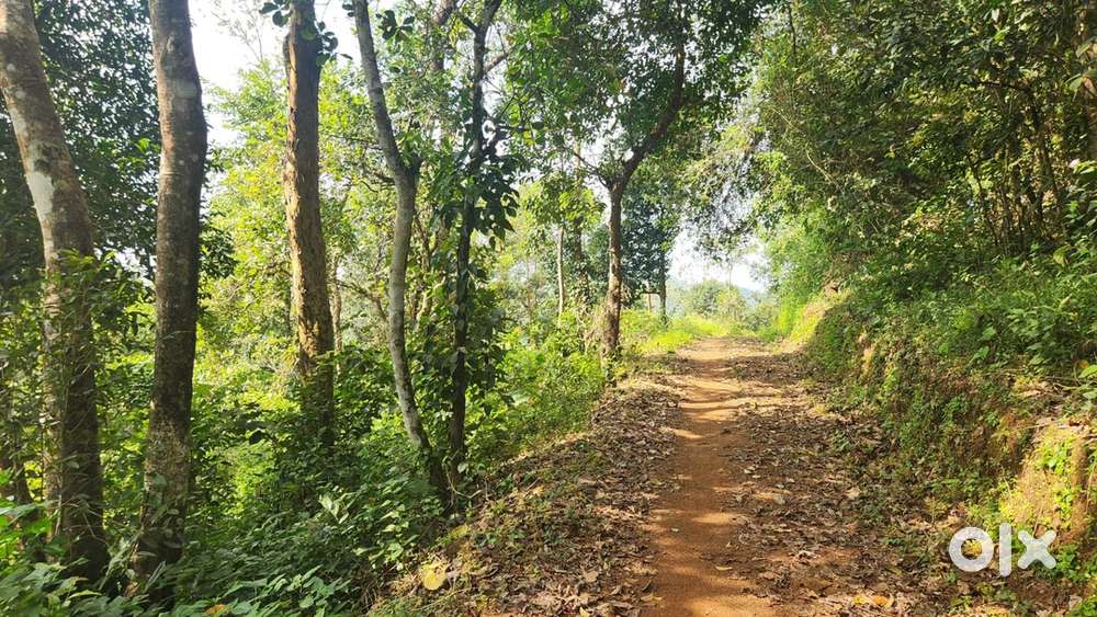 2 ACER 50 CENT LAND FOR SALE IN A COLDY AREA @KANNUR AIRPORT RD,WAYAND