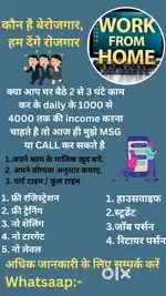 Work from home. Government approved platform .