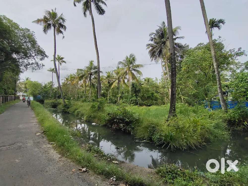 1.20 acre nelam