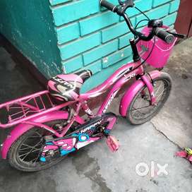 Mini by cycle