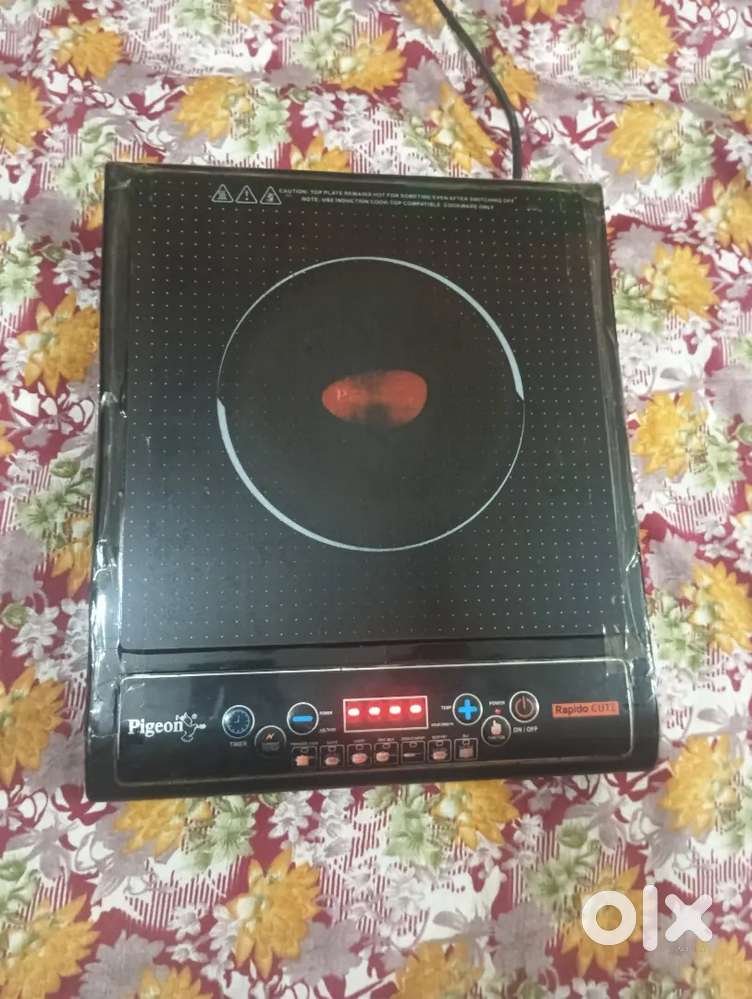 Induction pigan company