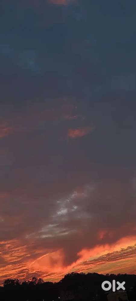 Hamari company kapda sell karti hai