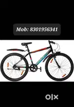 Cycle at best rate, Thrissur- Street cat