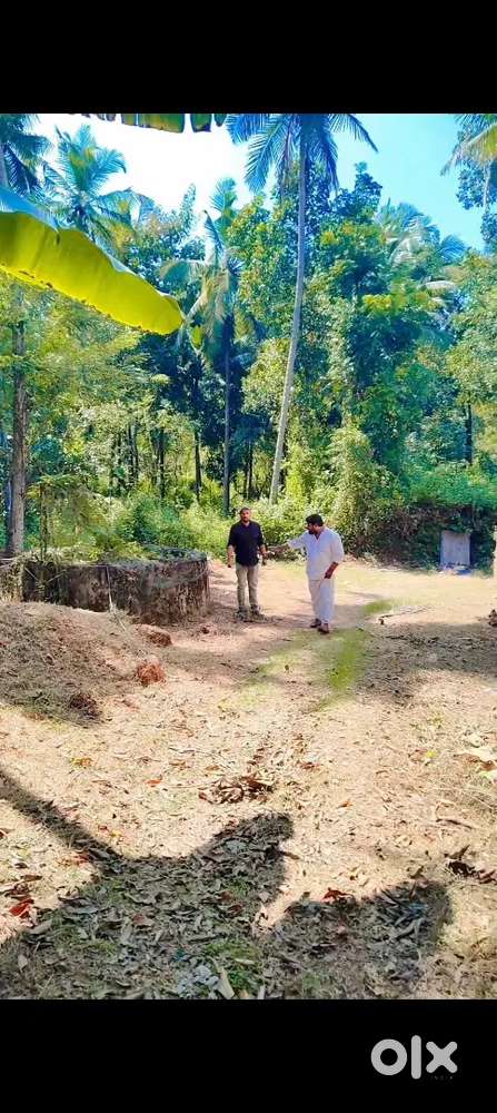 കിഴക്കേ കതിരൂർ സുരേന്ദ്രൻ റോഡ് 23cent