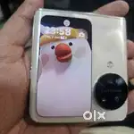 Oppo N3 flip 256 gb crack on internal display