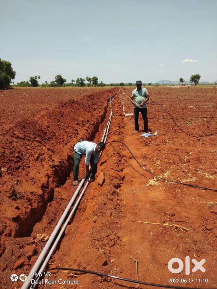 ప్రకాశం జిల్లా వెలిగొండ ప్రాజెక్ట్ దాగ్గరలో ఎర్రచందనం సాగు