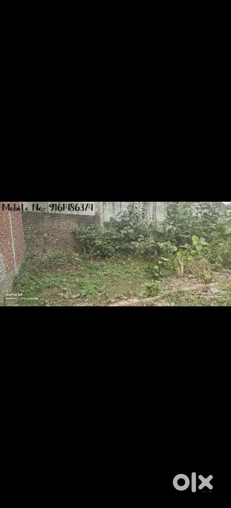 Greencity Colony Mohhamadi Road Shahjahanpur Up.