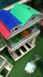 Pet shop (customer handling)