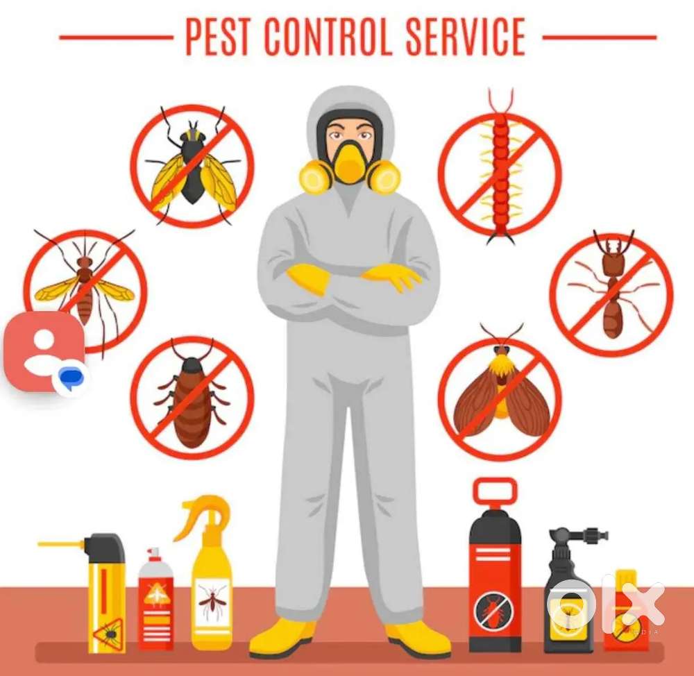 Pest control services Rs 1999