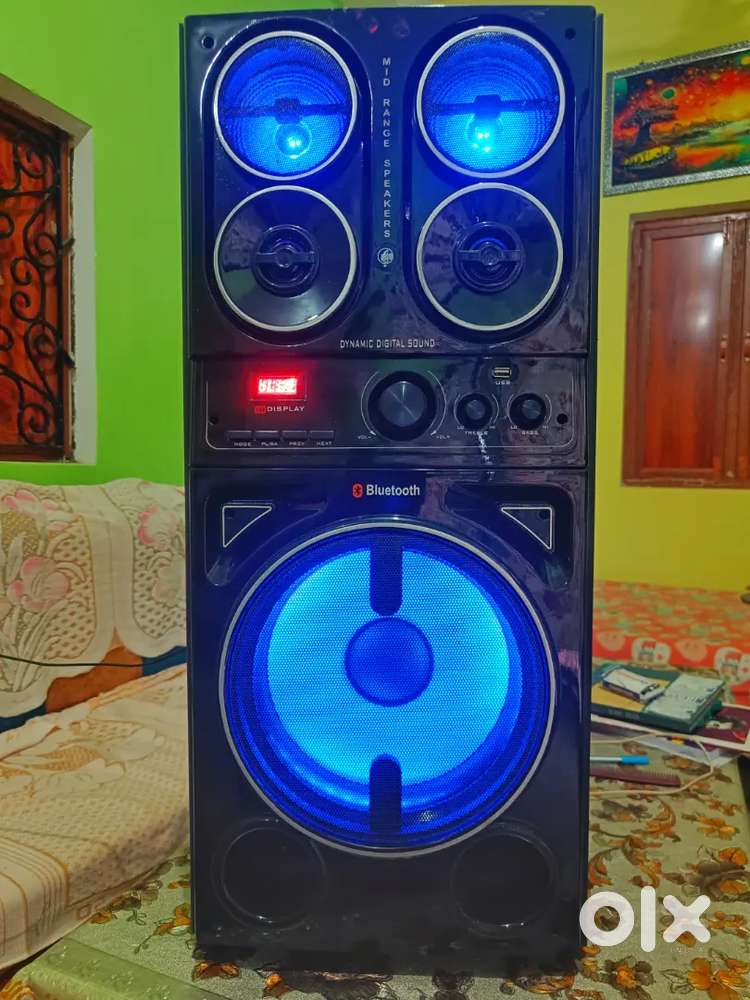 Party speaker