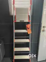 Bathla ladder