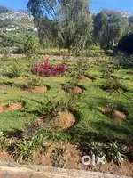 Land For Sale - Ooty Bus stand