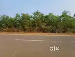 76 Decimal Gharabari Plot for Sale at Ambadali, Baripada, Mayurbhanj