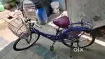 Ladybird bycycle