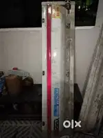 Tata zenon falka