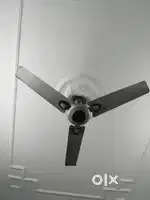 Fan in a good condition