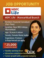 Financial Consultant