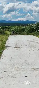 Plot for sale in kheri Markham grant