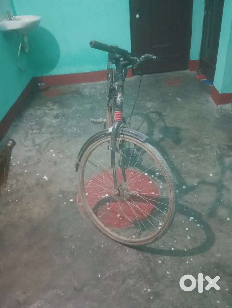 Gang cycle