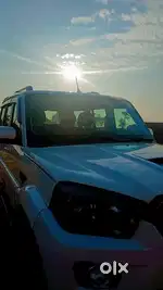 Driver best skills