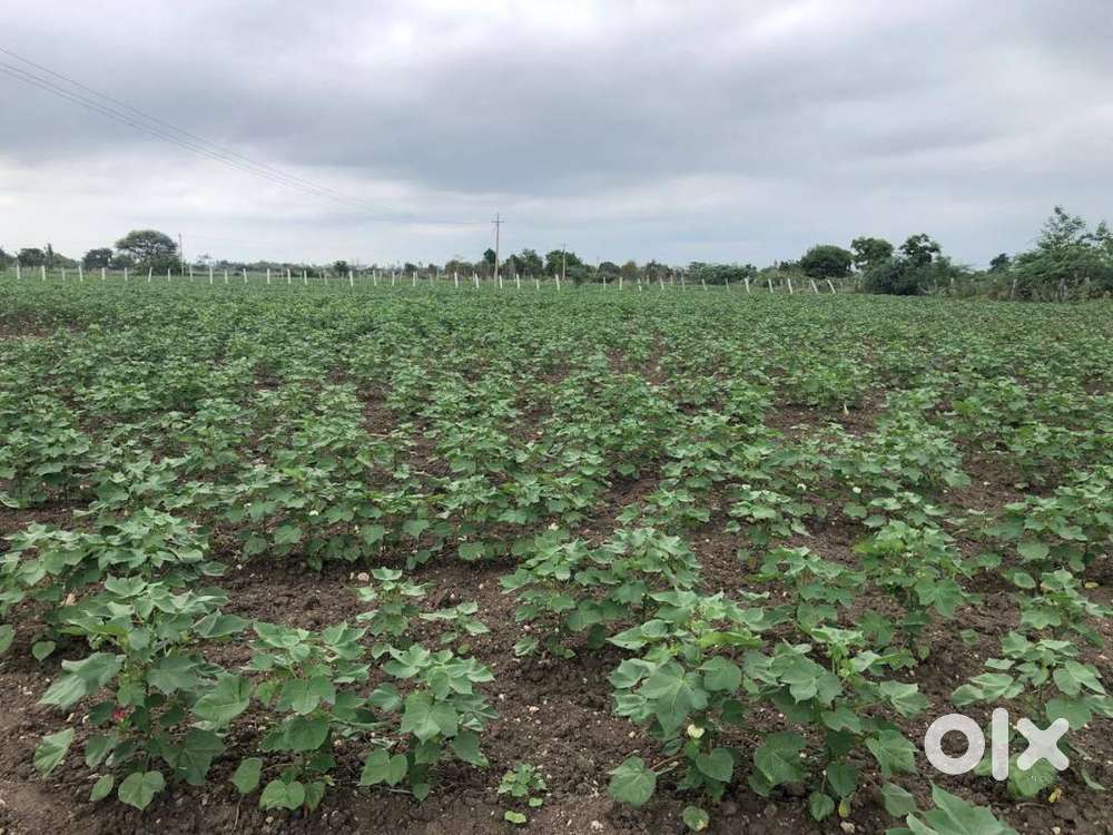Agricultural Land for Sale – Only ₹30 Lakhs!