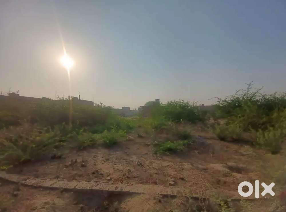 Urgent sell plot need money