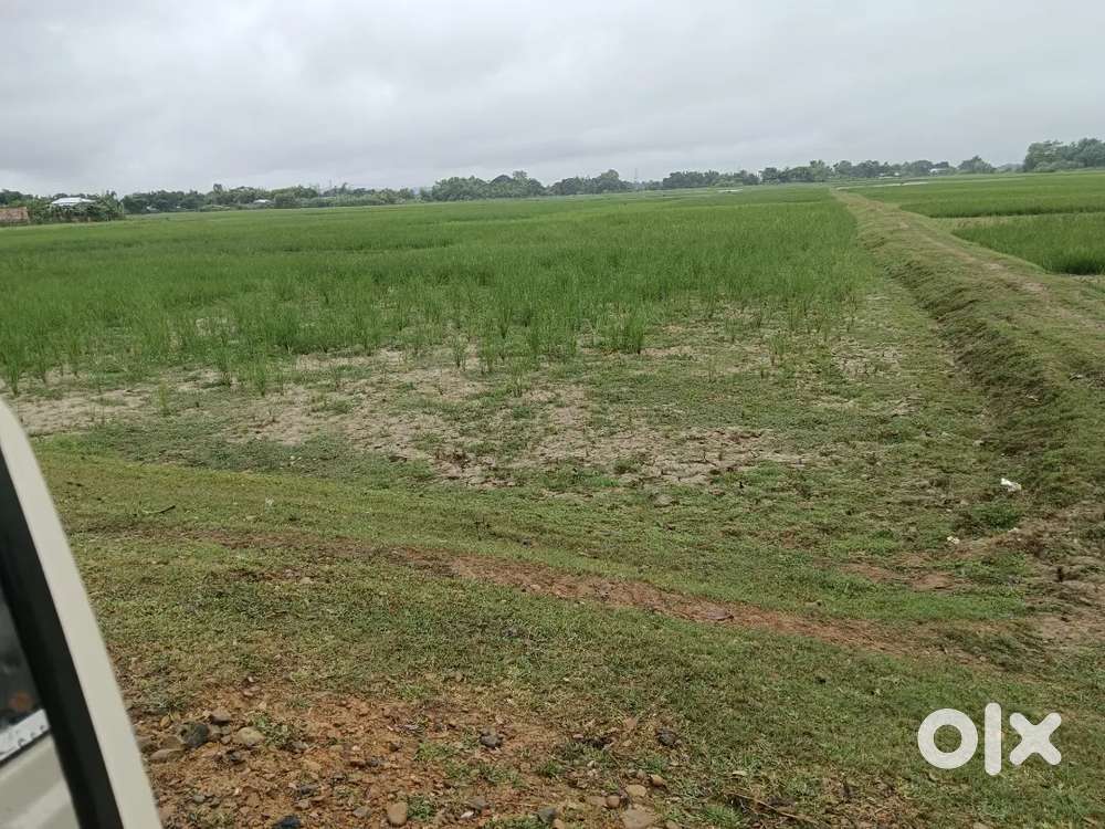 82 Kata , Urgent sale, Address Chandpur Pt I Near Silchar kalain Road