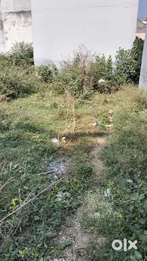 Deoband teacher colony plot sale