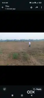 Only empty land patta land