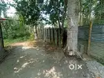 Myadi Land for sale in Mugkuchi ; Nalbari Hajo road