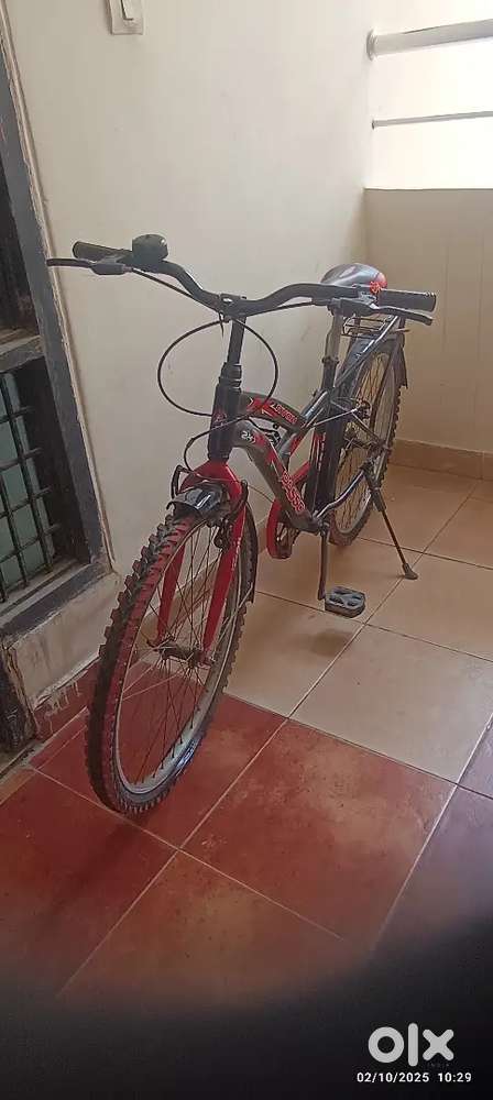 Avon 24 inch bicycle with carrier