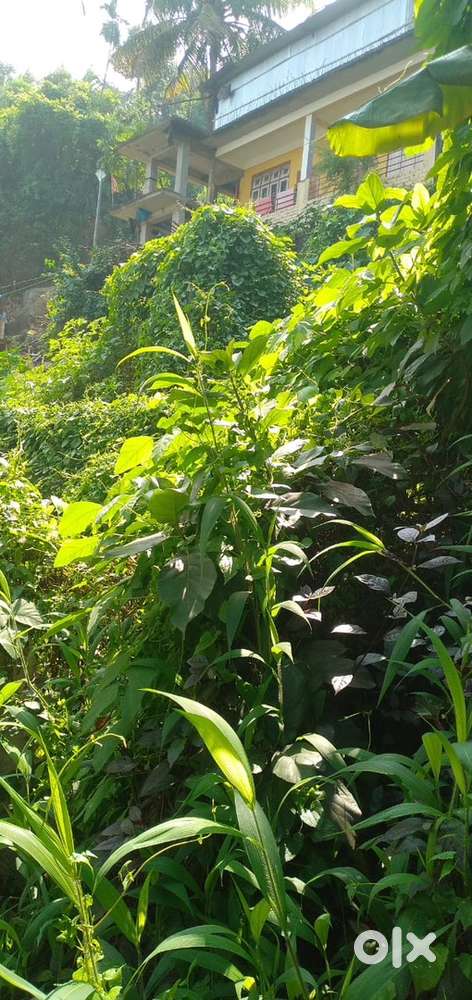 Adha Kotha Land for Sale