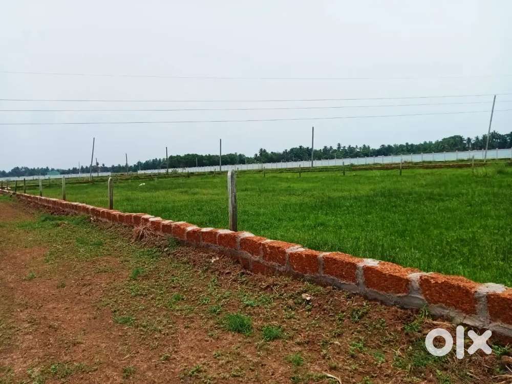 NH side beautiful project