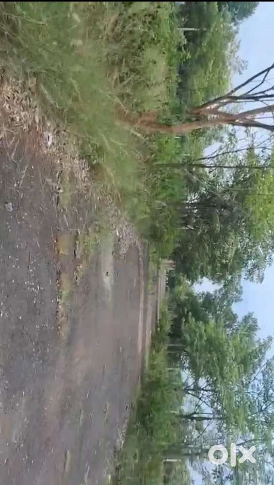 18 Lakhs, Bhogapuram Vuda plot 183 Sqyards,