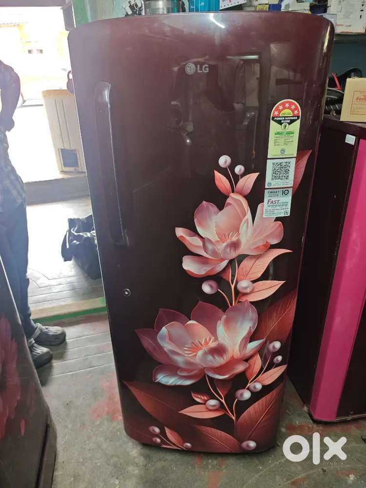 Lg new fridge 225 onion tray model with bill and warranty