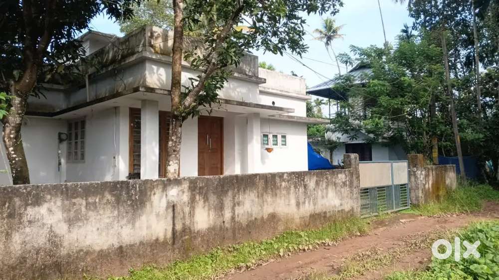 2bhk independent house for lease at varapuzha thirumuppam