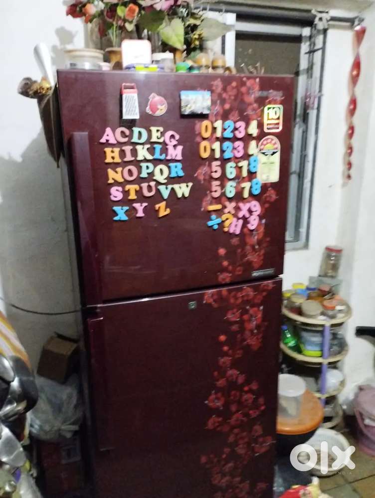 Refrigerator at cheapest price