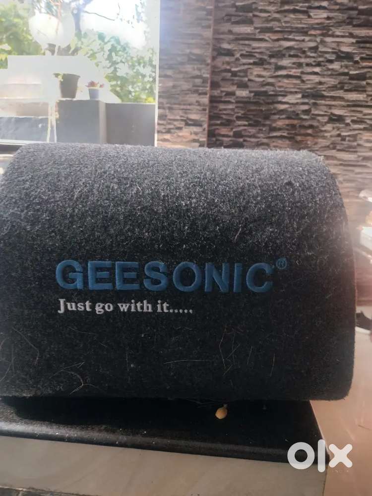 Geesonicspeaker