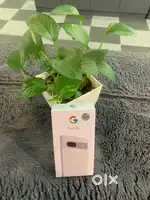 Google pixel 7A  5g support  8gb  128gb  brand new sealed